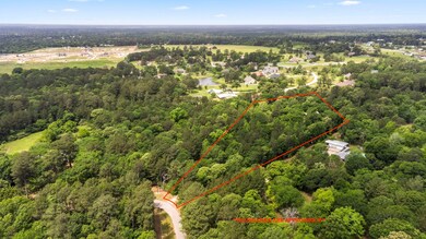 18263 Patricia Ln, Magnolia, TX 77355 - photo 5