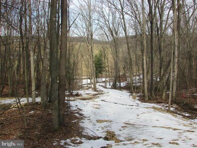 0 Cups Hollow, Sherman, WV - photo 3