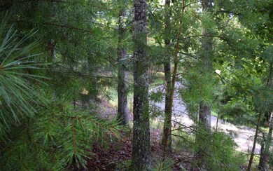 Lt907 Matrix Ln, Ellijay, GA 30540 - photo 2