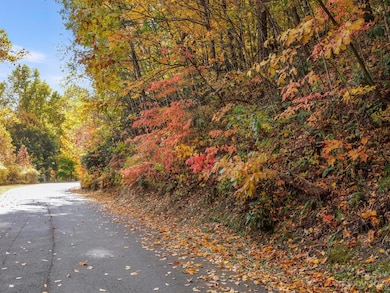 26 Great Aspen Way, Black Mountain, NC 28711 - photo 4