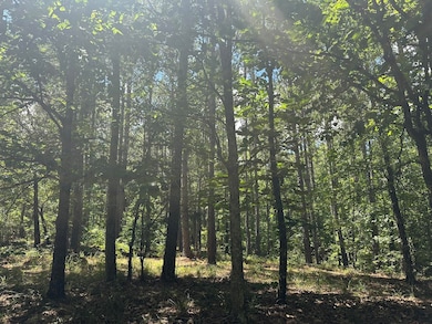 Lot 27 Honeysuckle Trail, Lincolnton, GA 30817 - photo 7