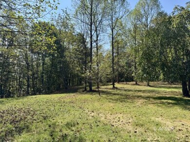 2933 Kemper Hollow Rd, Gallipolis, OH 45631 - photo 5