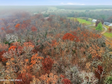 TRACT B6 Pea Ridge Rd, Centertown, MO 65023 - photo 7
