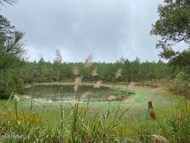 6 hunting-property-copiah-county