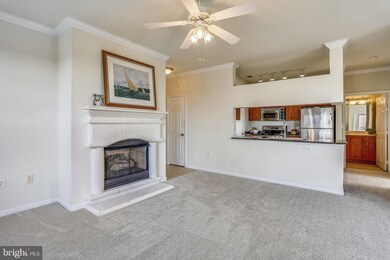 Bryson At Woodland Park unit 307, Herndon, VA 20171 - photo 6