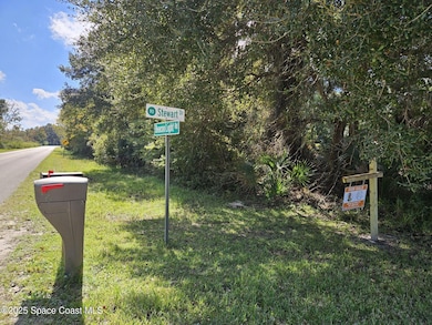 4600 Beacon Light Rd, Edgewater, FL 32141 - photo 5