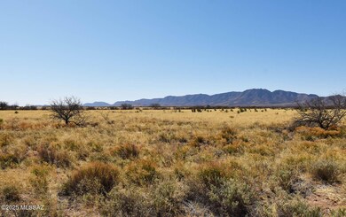 1 Lot March St unit 13, Pearce, AZ 85625 - photo 7