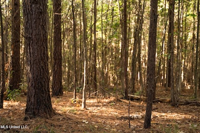 0 Lake View Golf Course Rd unit 4132339, Meridian, MS 39301 - photo 5