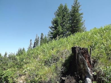 TBD State Highway 11, Pierce, ID 83546 - photo 3