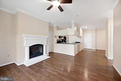12909 Centre Park Cir unit 304, Oak Hill, VA 20171 - photo 3