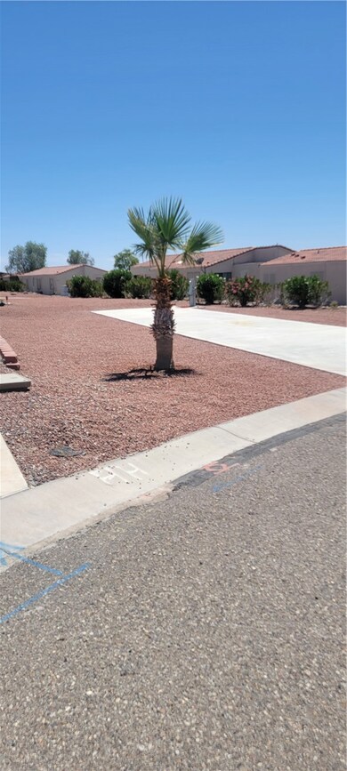 View of yard with concrete driveway