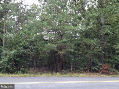 8136 Lawyers Rd, Spotsylvania, VA 22551 - photo 7