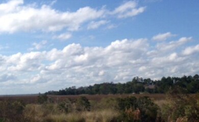 2021 Sea Palms West Drive (Lot 11) unit Lot11, St. Simons Island, GA 31522 - photo 3