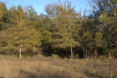 TBD Vz County Road 2147, Wills Point, TX 75169 - photo 7