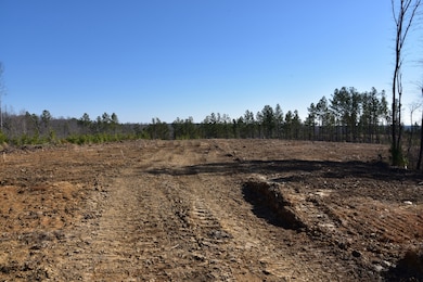 0 White Oak Rd unit RTC2974718, Stewart, TN 37175 - photo 4