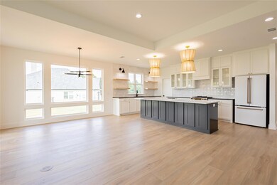 183 Meridian Ln, Gordonville, TX 76245 - photo 6