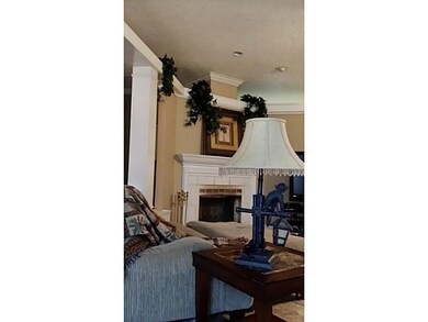 Living Room. LIVING ROOM FIREPLACE