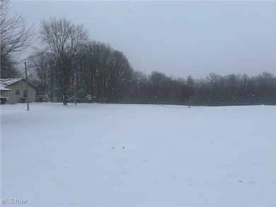 VL Shepard Rd, MacEdonia, OH 44056 - photo 2