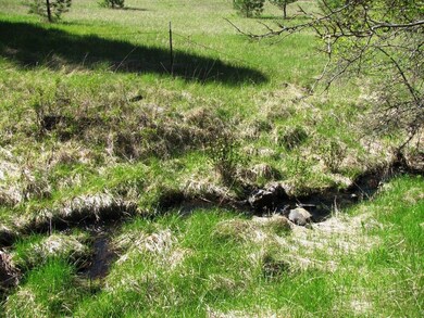 2599 Mud Lake Rd, Chewelah, WA 99109 - photo 4