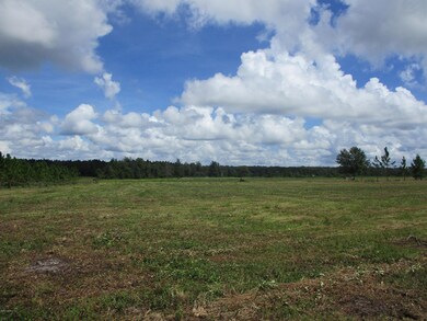 56161 Davis Rd, Callahan, FL 32011 - photo 6