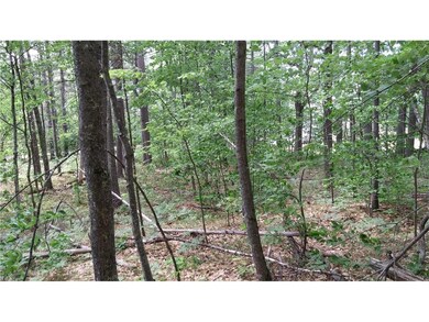 9 Harris Rd, East Baldwin, ME 04024 - photo 3