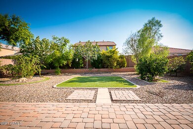 backyard1
