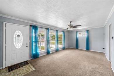 4308 Meadow Ln, Lorain, OH 44055 - photo 4