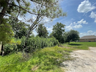 Lot front area coming from Bryan Ave.