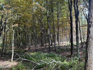 L3.22 Clickman Rd, Westerlo, NY 12193 - photo 3