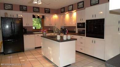 142 Buck Ridge Dr, Drums, PA 18222 - photo 2