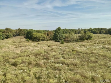 View of undeveloped land featuring rural landscape