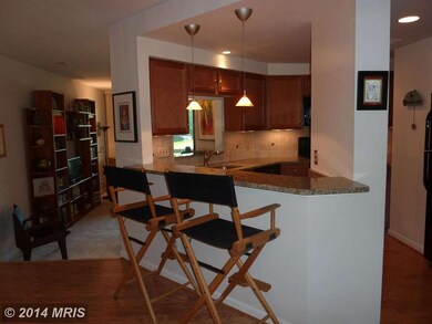 11300 Harbor Ct unit 113, Reston, VA 20191 - photo 3