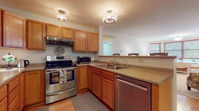 409 Farrell St unit 201, South Burlington, VT 05403 - photo 4