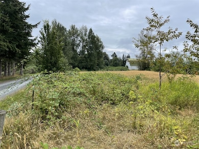 4935 E 3rd Dr, Bellingham, WA 98226 - photo 3