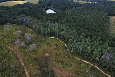 2085 County Road 3341, Brundidge, AL 36010 - photo 5