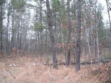 28747 Eastman Rd, Danbury, WI 54830 - photo 5