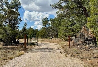 17 Hastings Loop, Ramah, NM 87321 - photo 5