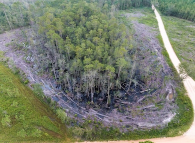 00 Sam Anderson Rd, Glennville, GA 30428 - photo 4