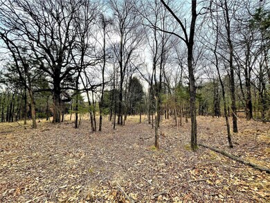 46 Wind Haven, Gordonville, TX 76245 - photo 5