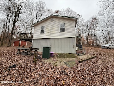 1101 Caneyville Cut Off Rd, Caneyville, KY 42721 - photo 6