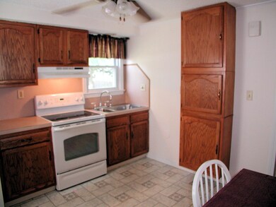 14 Midway St, Indian Orchard, MA 01151 - photo 5