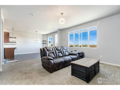 101 Primrose Ct, Wiggins, CO 80654 - photo 4