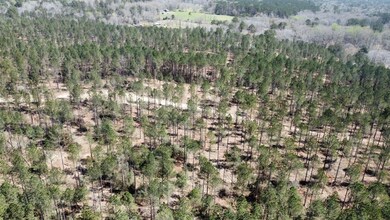 + - 130 Acres unit Simpson County MS, New Hebron, MS 39149 - photo 3
