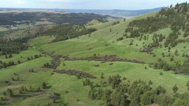 XXX Egypt Loop Rd unit Sunset Mountain Ridg, Davenport, WA 99122 - photo 3