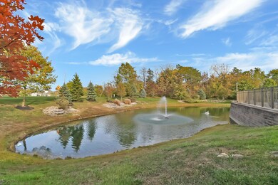 Pond