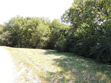 01 S Scruggs, Frankfort, KY 40601 - photo 4