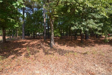 351 Crepe Ridge Dr unit 351, Westport, NC 28037 - photo 2