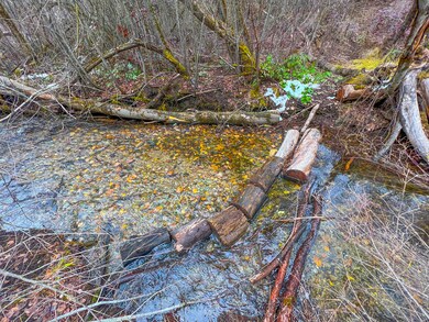 D-LOT 3 Immel Rd, Chewelah, WA 99109 - photo 2