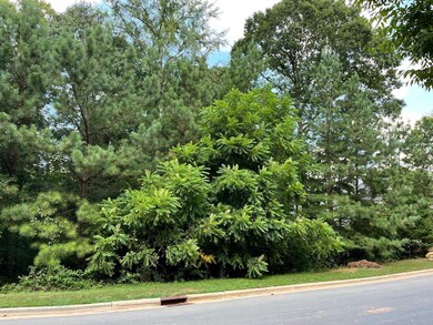 154 Colonial Trail, Pittsboro, NC 27312 - photo 2