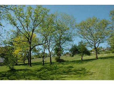 Yard/Garden